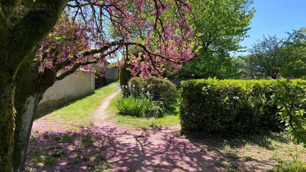 Appartement à FONTAINES-SUR-SAONE