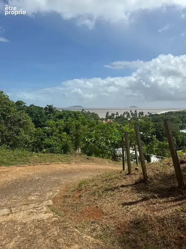 Cayenne : terrain situé route de bourda avec vue panoramique en hauteur, dimensionné de 1016m2 à vendre - photo 3