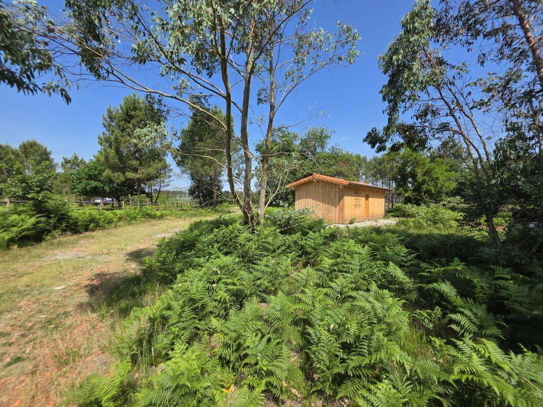 Maison 630 m² à Biscarrosse  - photo 45