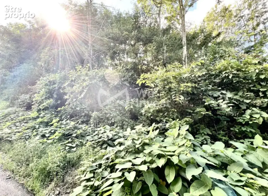 Terrain 2 990 m² à vendre à Vienne (38200) - photo 6
