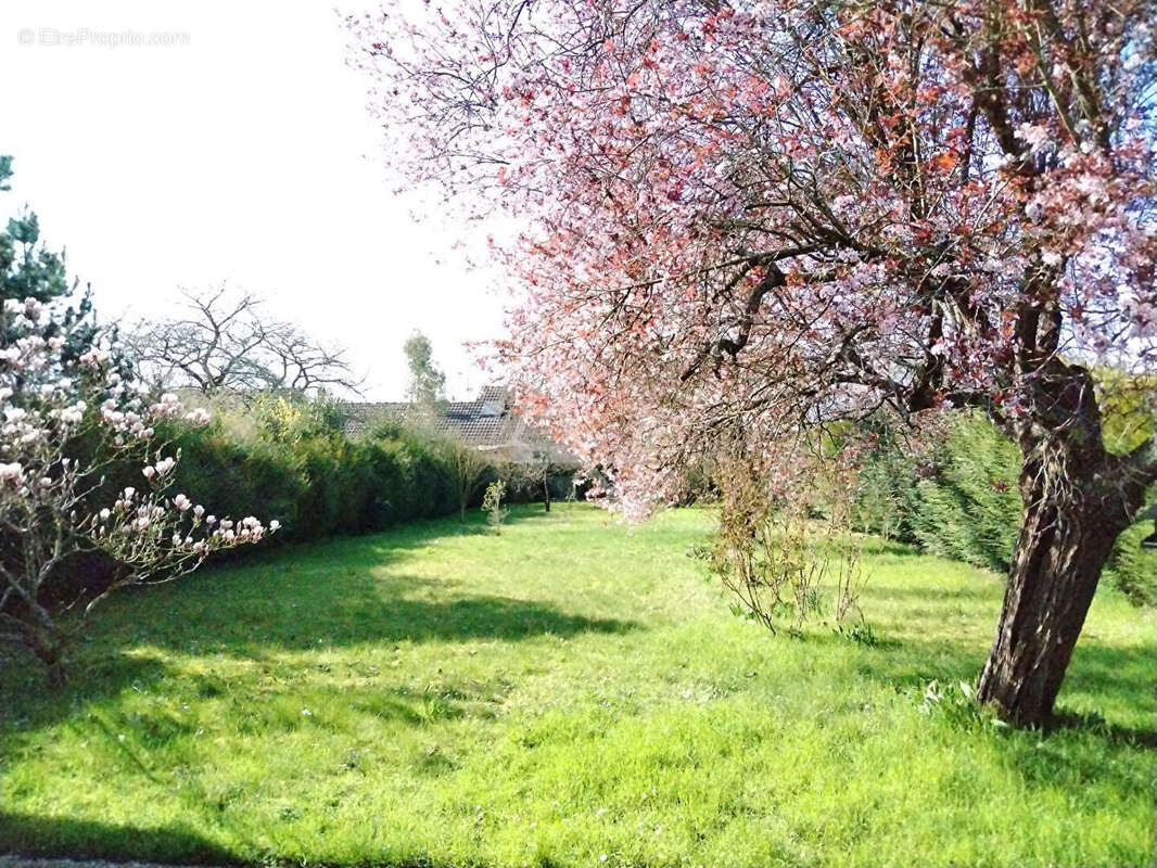 Maison à MEAUX