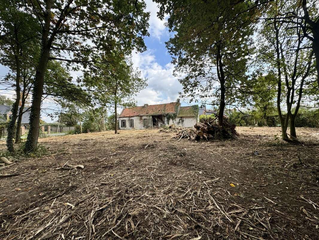 Maison à CAPPELLE-EN-PEVELE