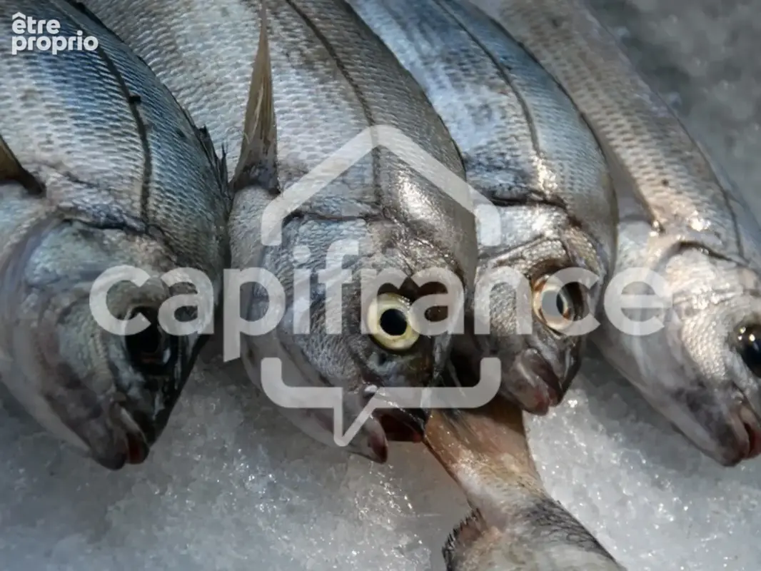 Dpt Charente Maritime (17), à vendre  Poissonnerie - photo 3