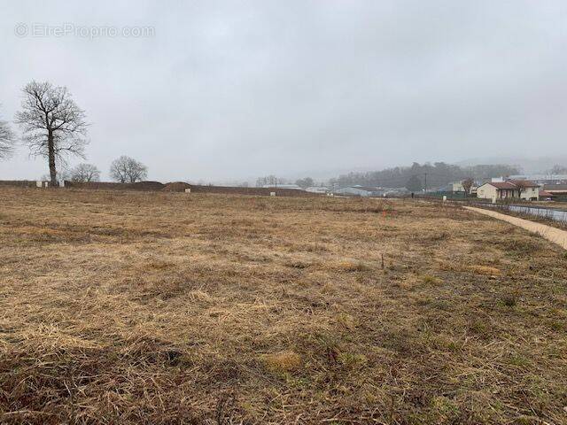 Terrain à NAUCELLES
