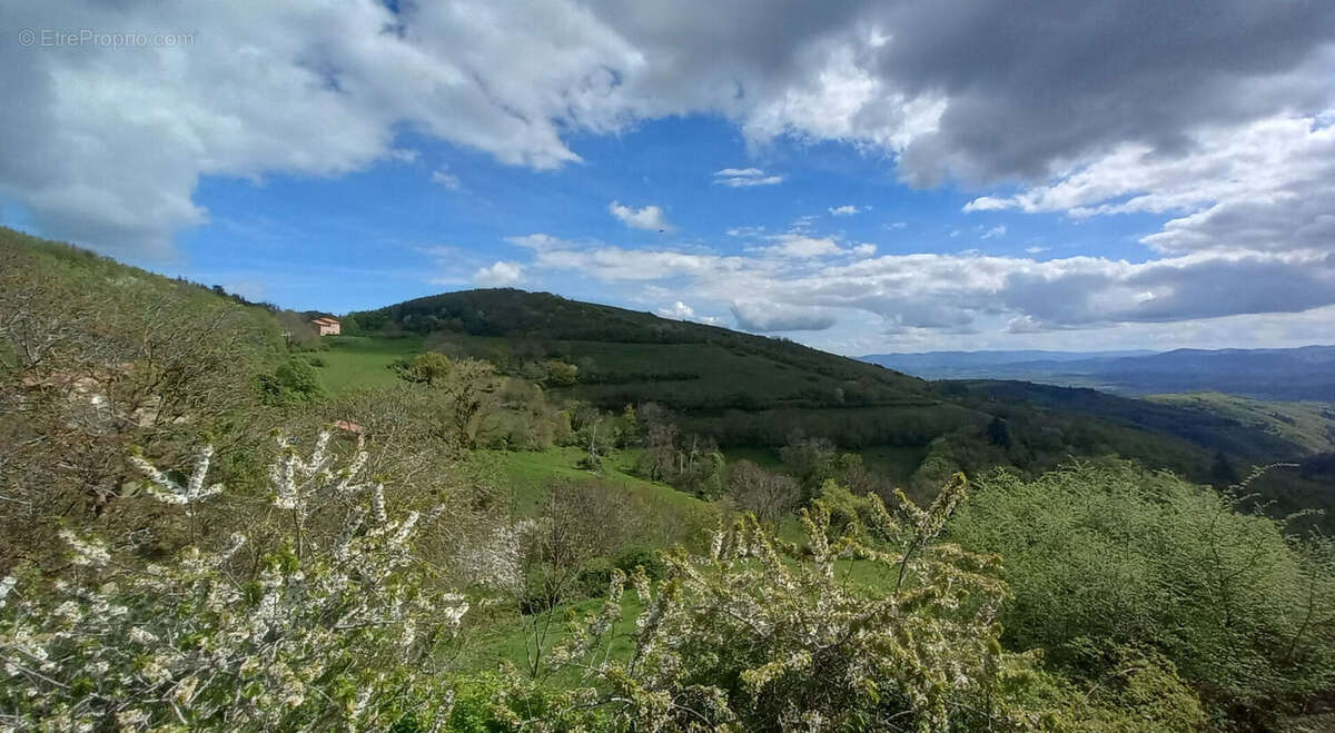 Maison de plain-pied , 103 m² , vue exceptionnelle. Terrain 2 800 m² - photo 13