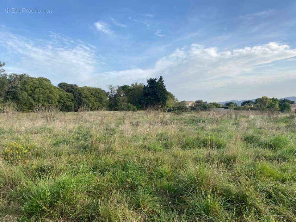 Terrain à BOLLENE