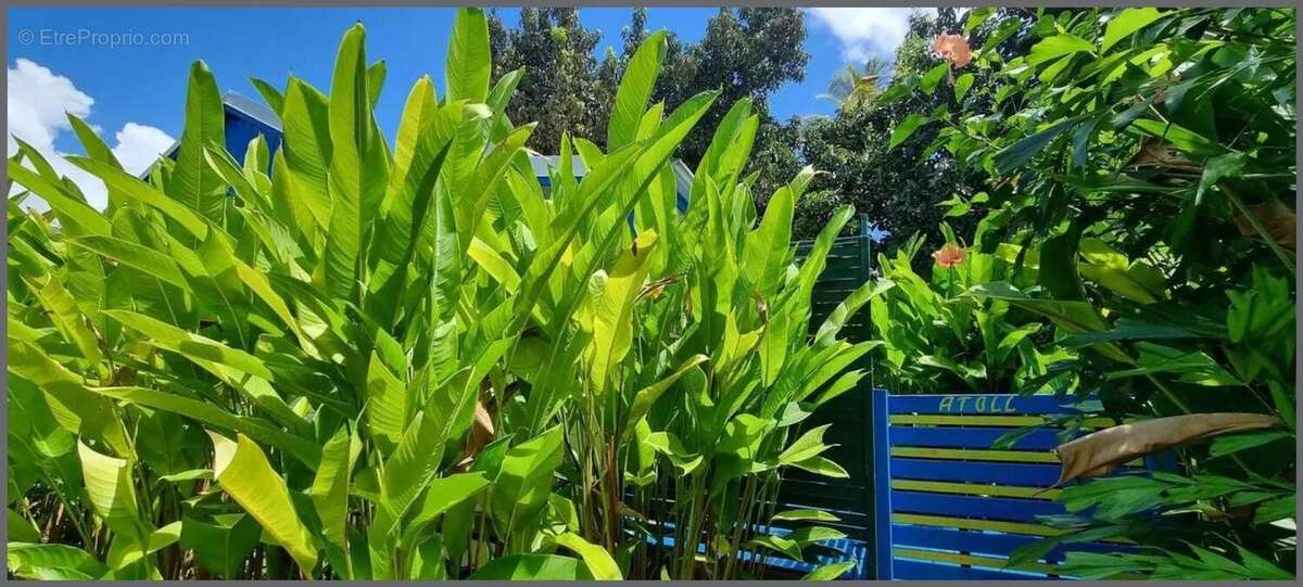 Maison à SAINTE-ANNE