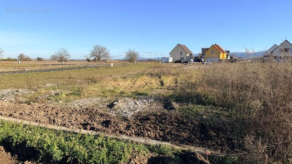 Terrain à BANTZENHEIM