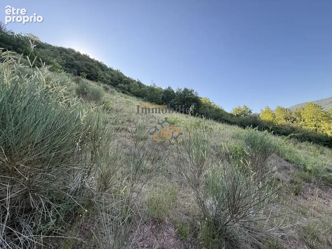 Vente remise avec  2,45 hectares de terrains Versols-et-Lapeyre - photo 22