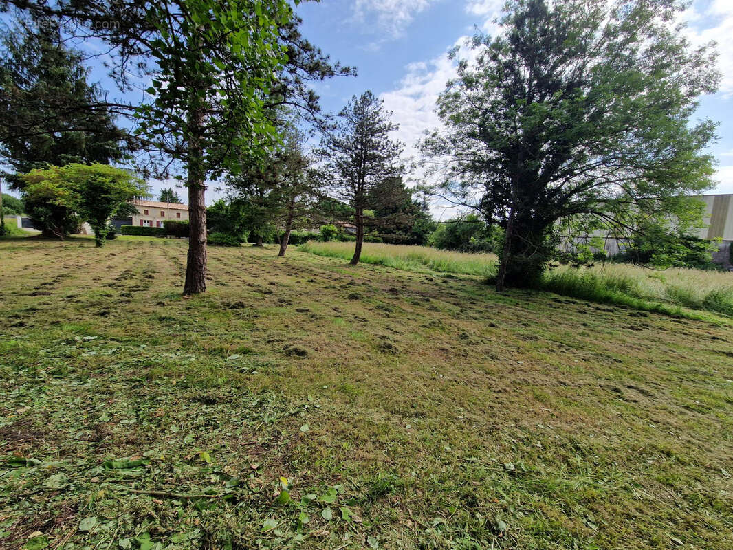 Terrain à SAINT-CIERS-SUR-GIRONDE