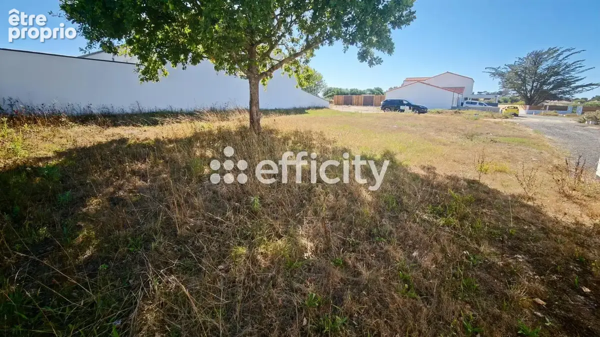 Terrain 365 m² à Bretignolles-Sur-Mer  - photo 2