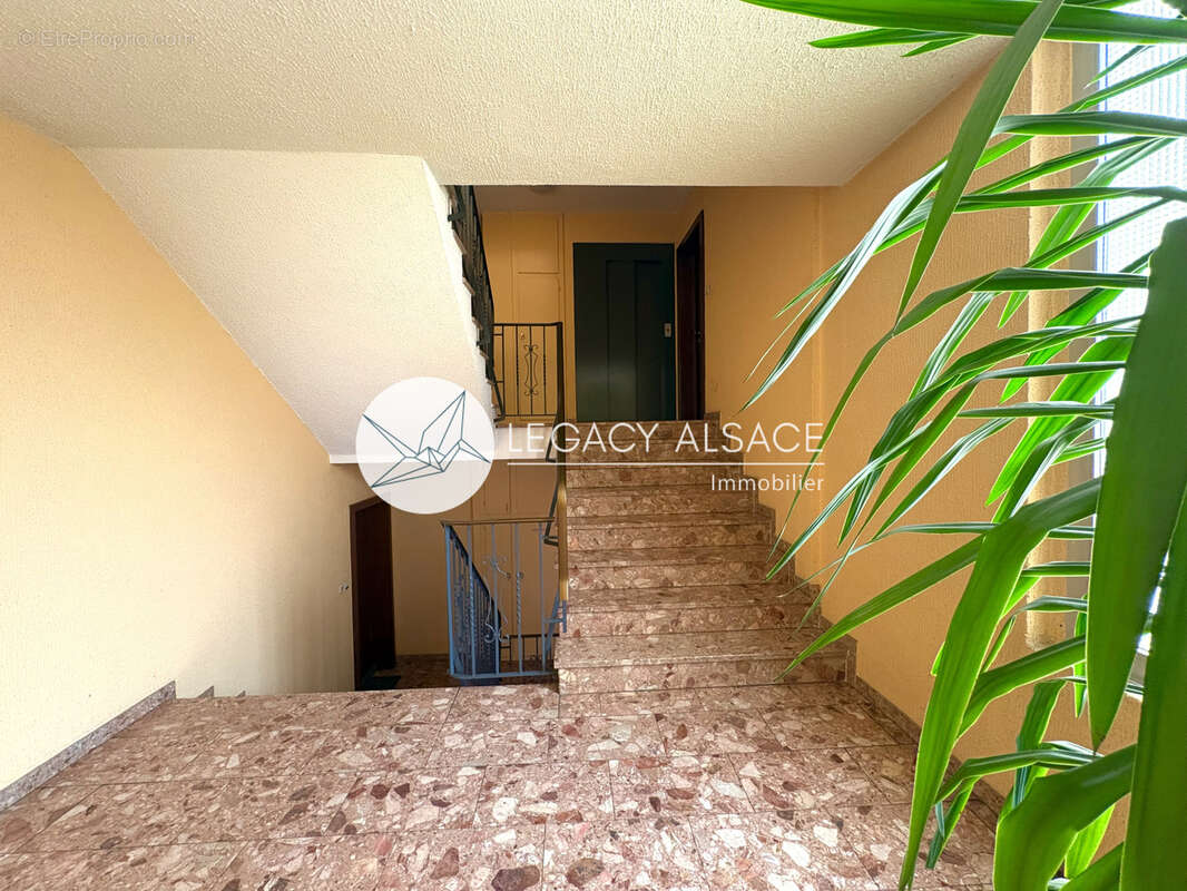 Appartement à ERSTEIN