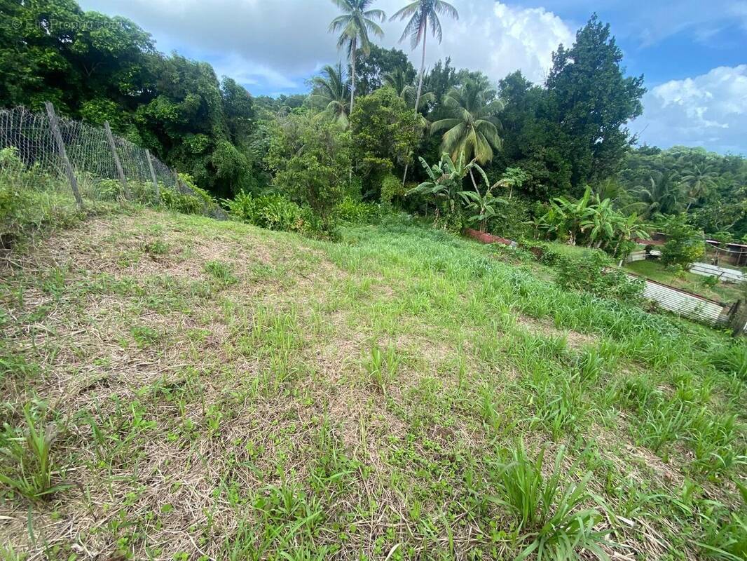 Terrain à LE ROBERT