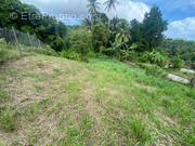 Terrain à LE ROBERT