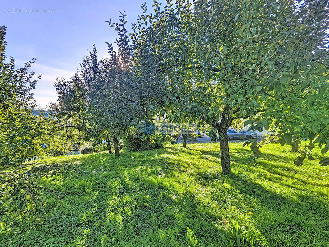 Maison à FRESNES-SUR-APANCE