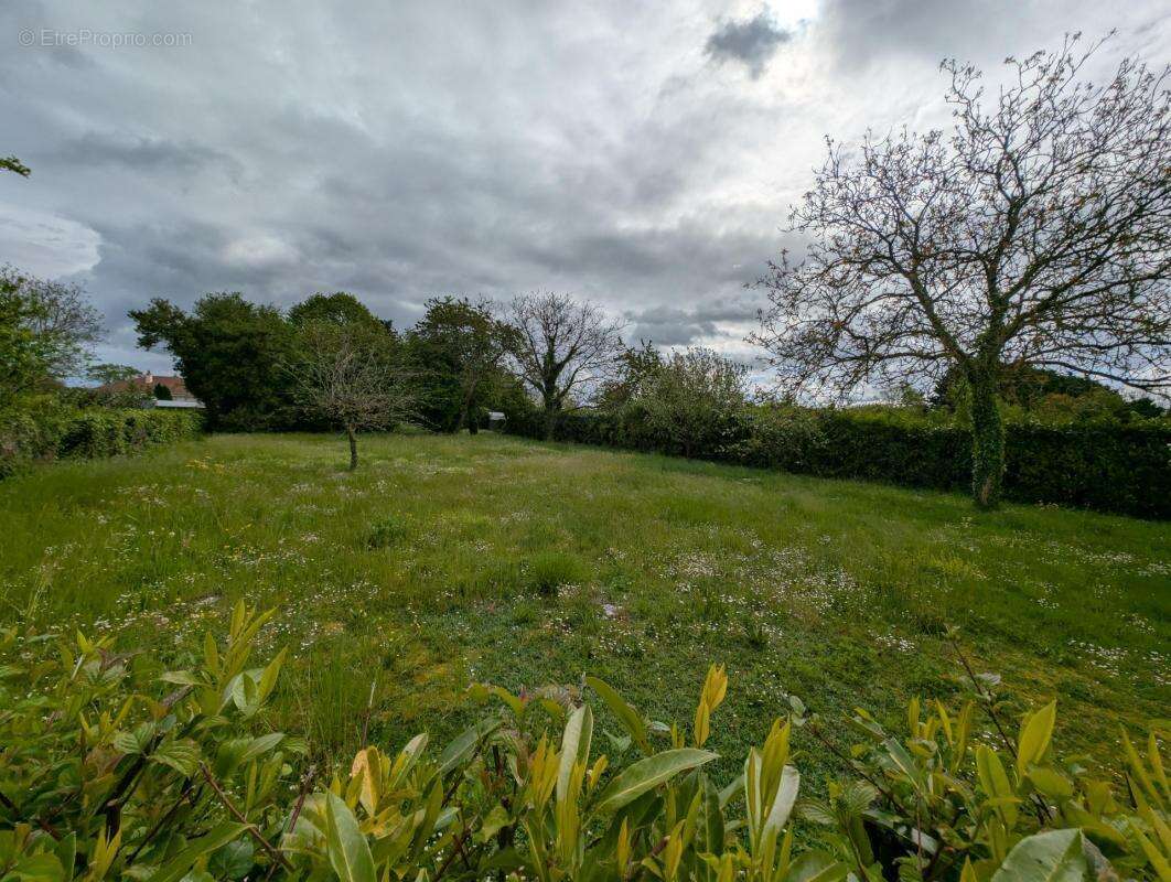 Terrain à PARCE-SUR-SARTHE
