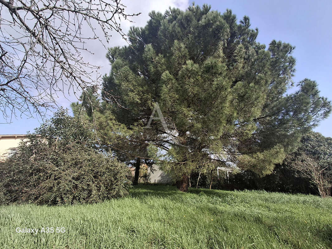 Maison à L'ISLE-JOURDAIN