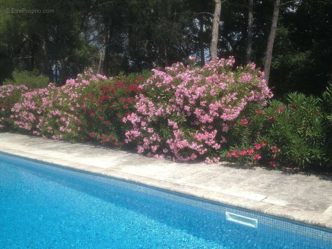 Photo 9 - Maison à LOURMARIN