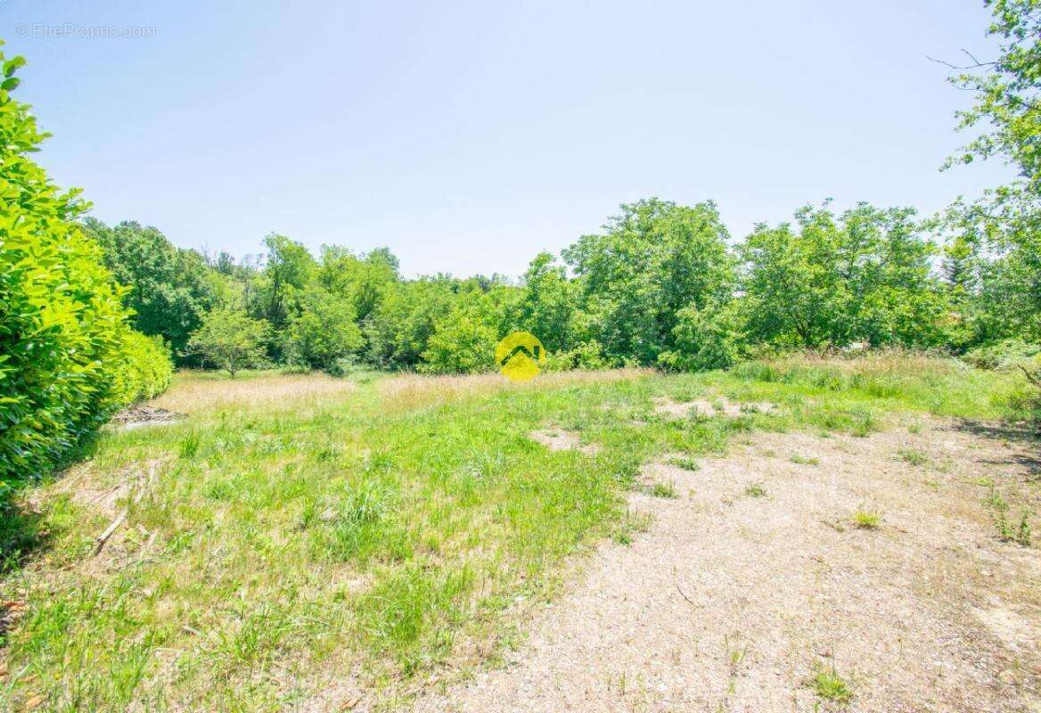 Terrain à SAINTE-ALVERE