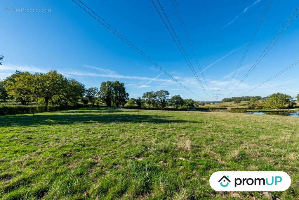 Terrain à SAINT-LAURENT-D'ANDENAY