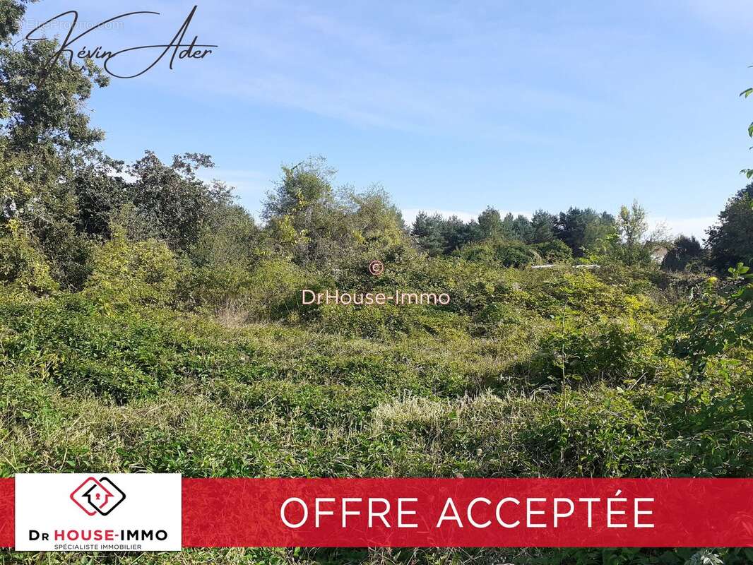 Terrain à OLIVET