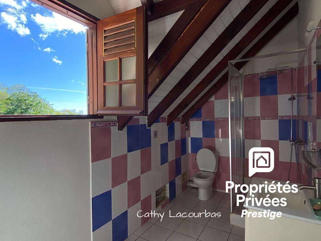 Rare ! Propriété à Deshaies avec grand jardin et vue mer - photo 15
