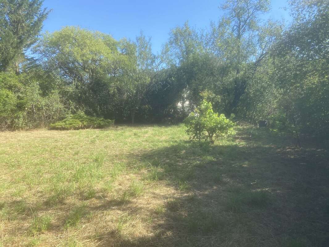 maison de campagne - photo 11