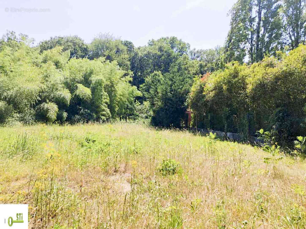 Maison 74 m² à Melleroy  - photo 2