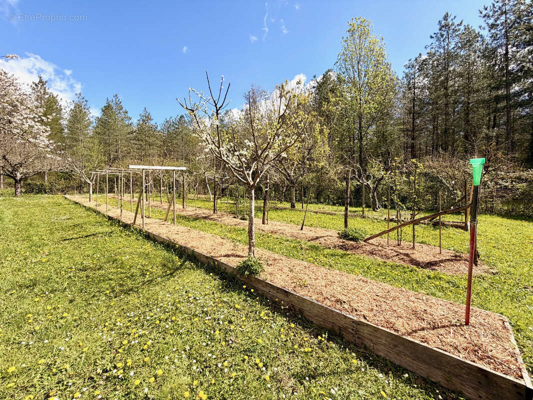 Maison à CASTELJALOUX