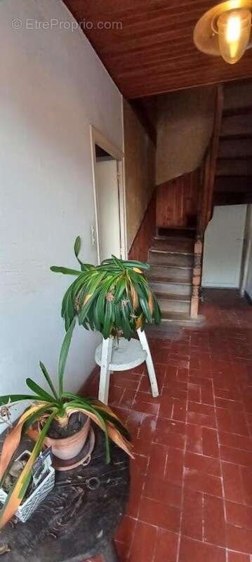 Photo 5 - Maison à ARRADON