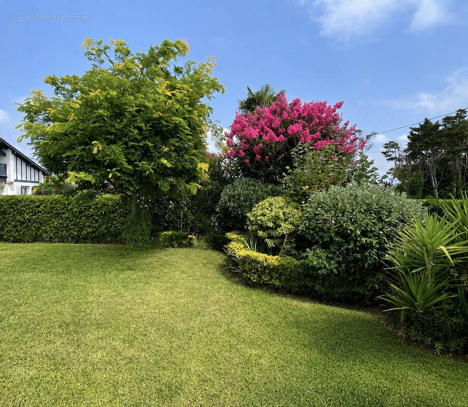 BIDART - PLATEAU - Maison familiale avec jardin arboré - photo 21