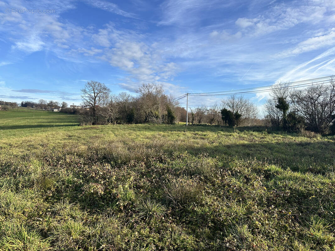 Terrain à LES ALBRES