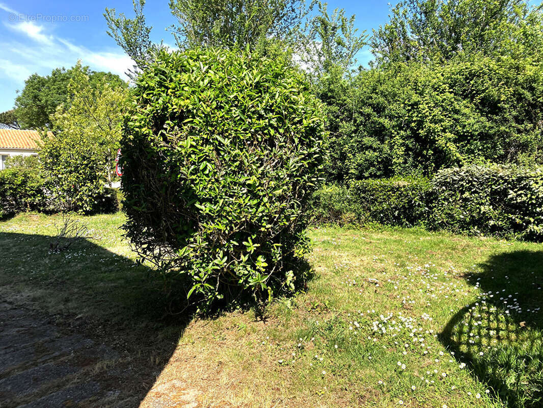 Maison à LA CHAIZE-GIRAUD