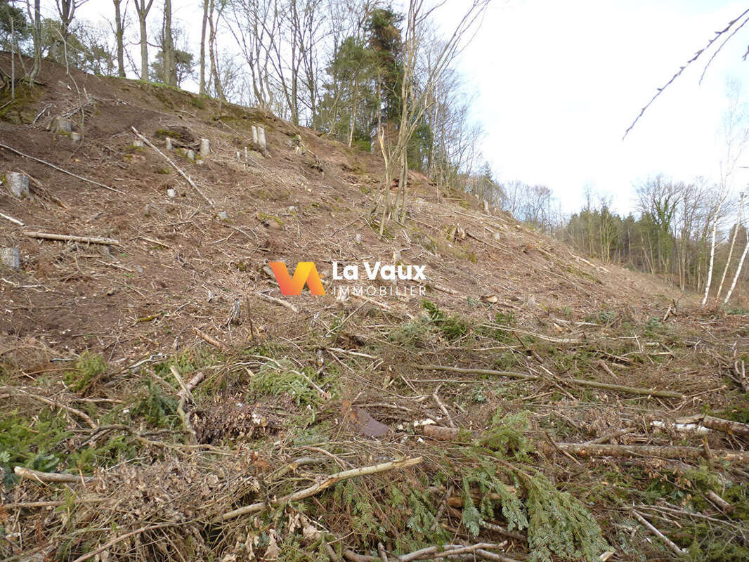 Terrain à RAON-L'ETAPE