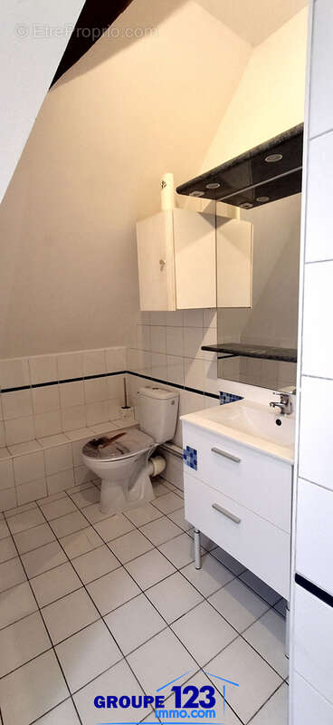 Appartement à AILLANT-SUR-THOLON