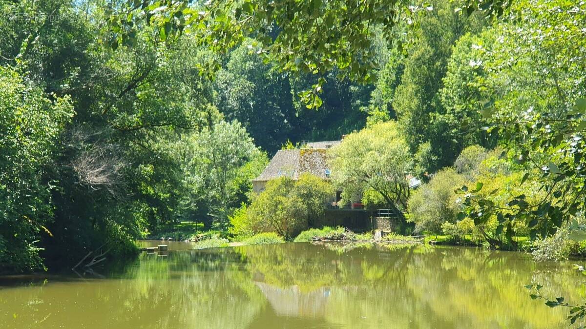 Magnifique moulin rénové dans un écrin de verdure - photo 1