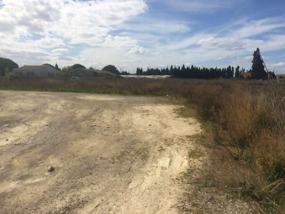 Terrain à ORNAISONS