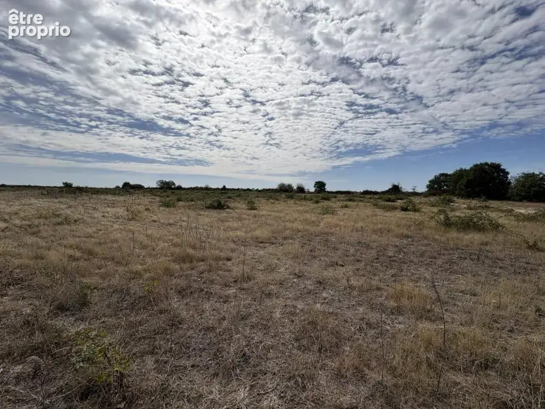 Terrain agricole - photo 6