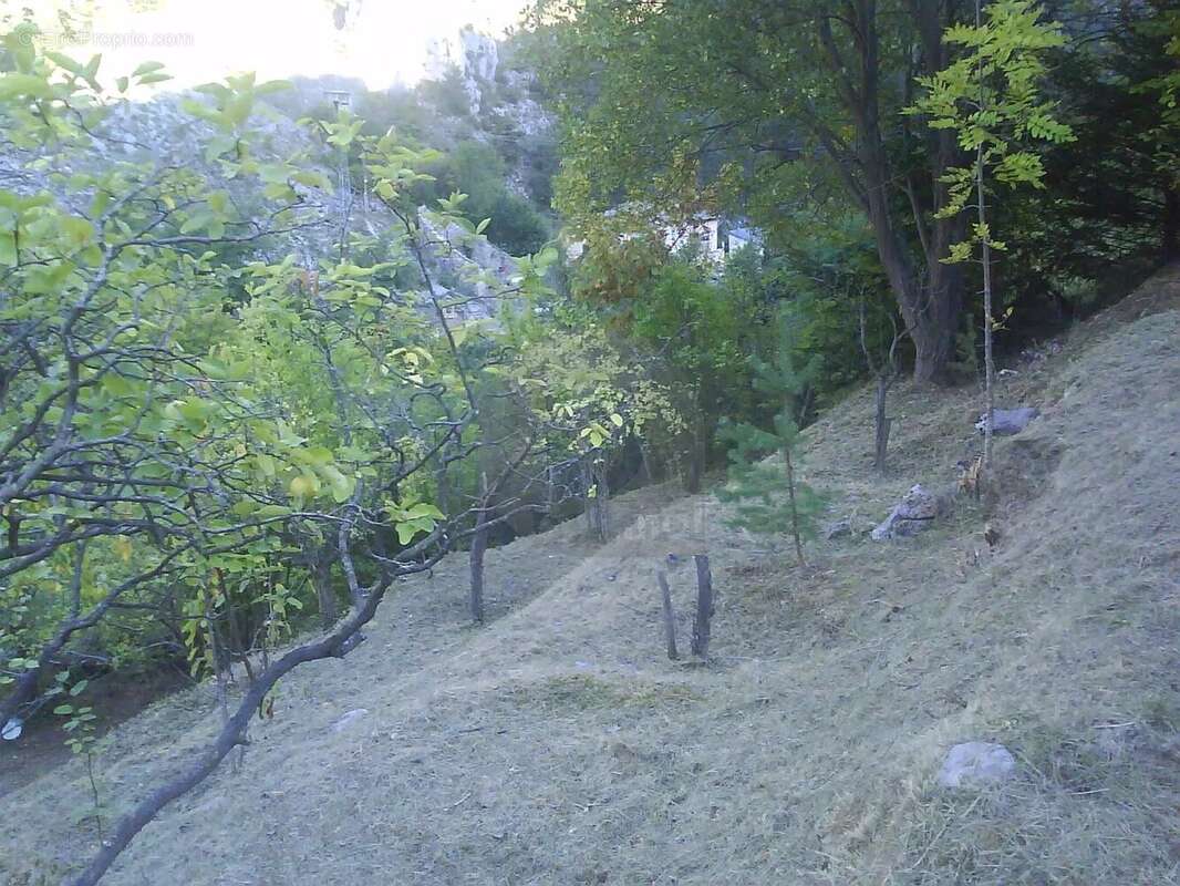 Appartement à LA BRIGUE