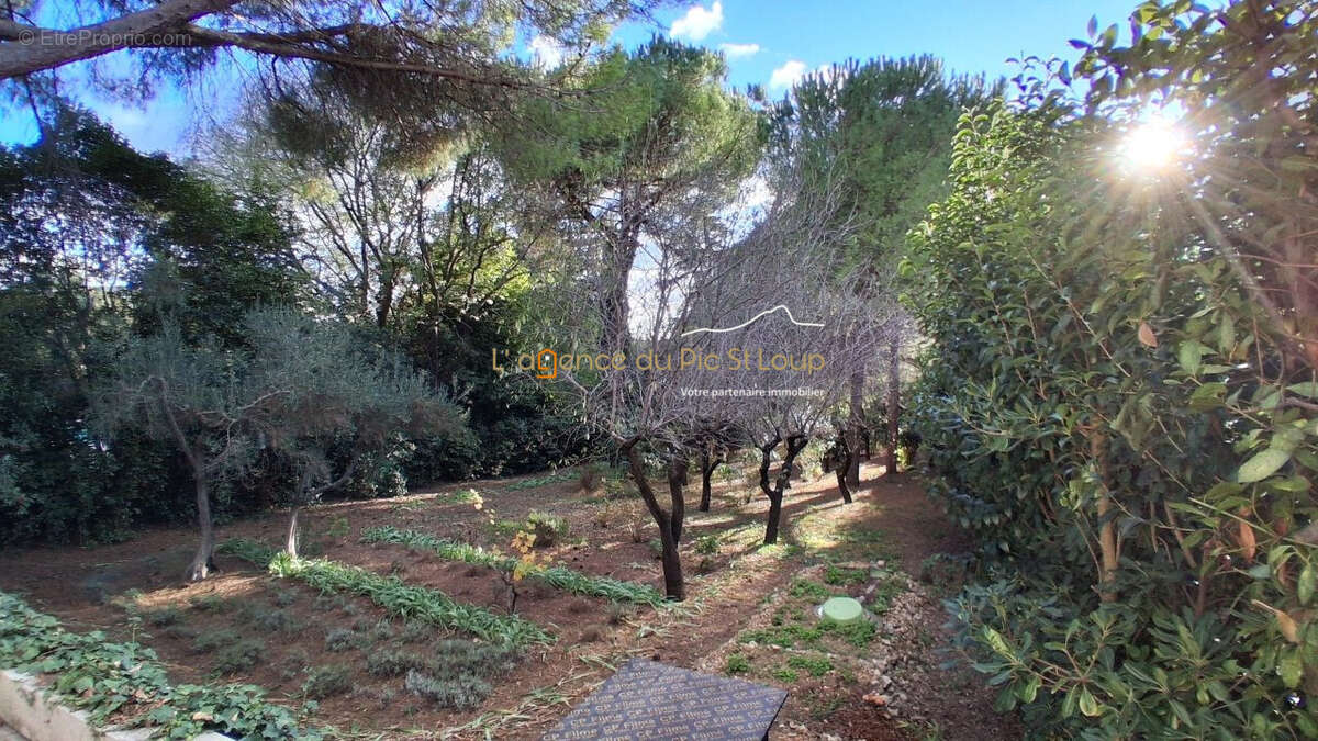 Maison à MONTPELLIER