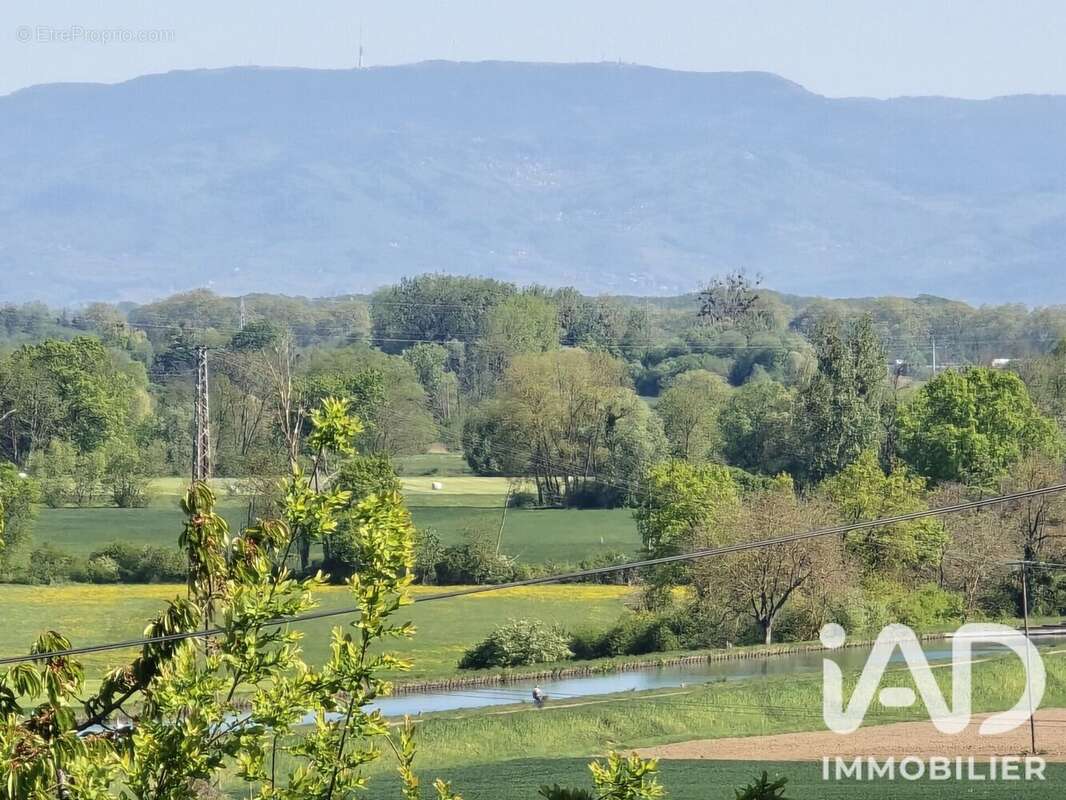 Terrain 466 m² à Waltenheim-Sur-Zorn  - photo 9