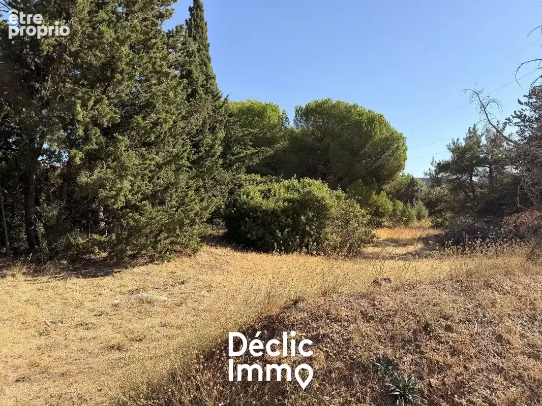TERRAIN LOISIRS 4205m2 Villeneuve-Lès-Maguelone - photo 11