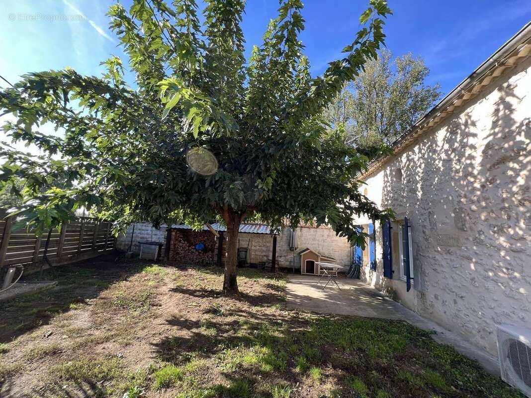 Photo 4 - Maison à PUJOLS-SUR-CIRON