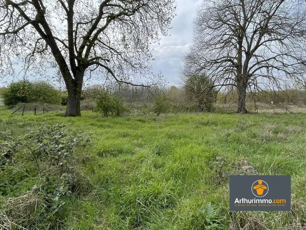 Commerce à NEUFCHATEL-SUR-AISNE