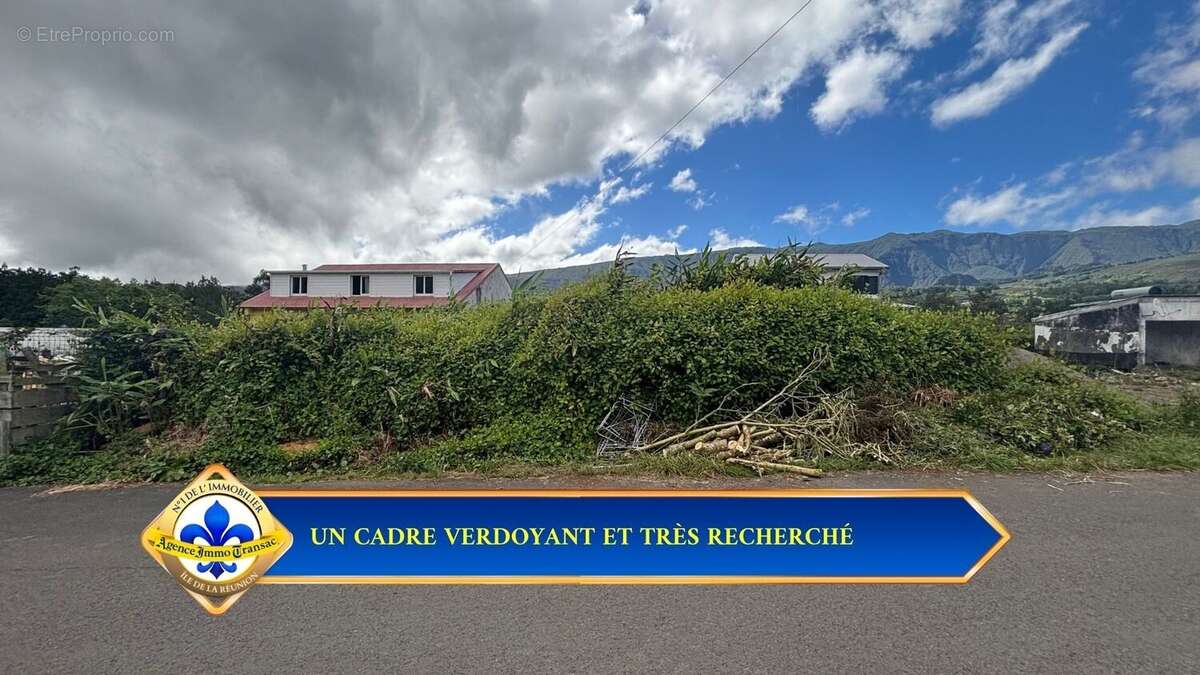 Terrain à LA PLAINE-DES-PALMISTES