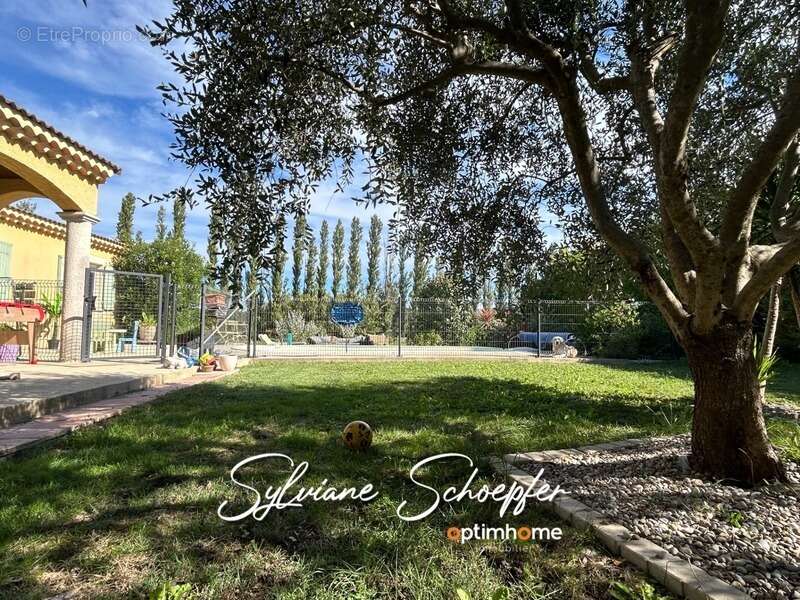 Maison à SAINT-PAUL-TROIS-CHATEAUX