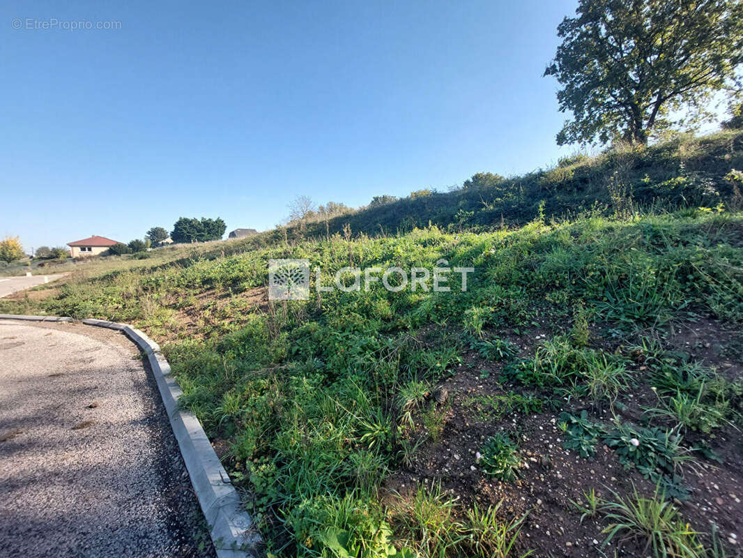 Terrain Koenigsmacker 623 m2 lot 2 - photo 4