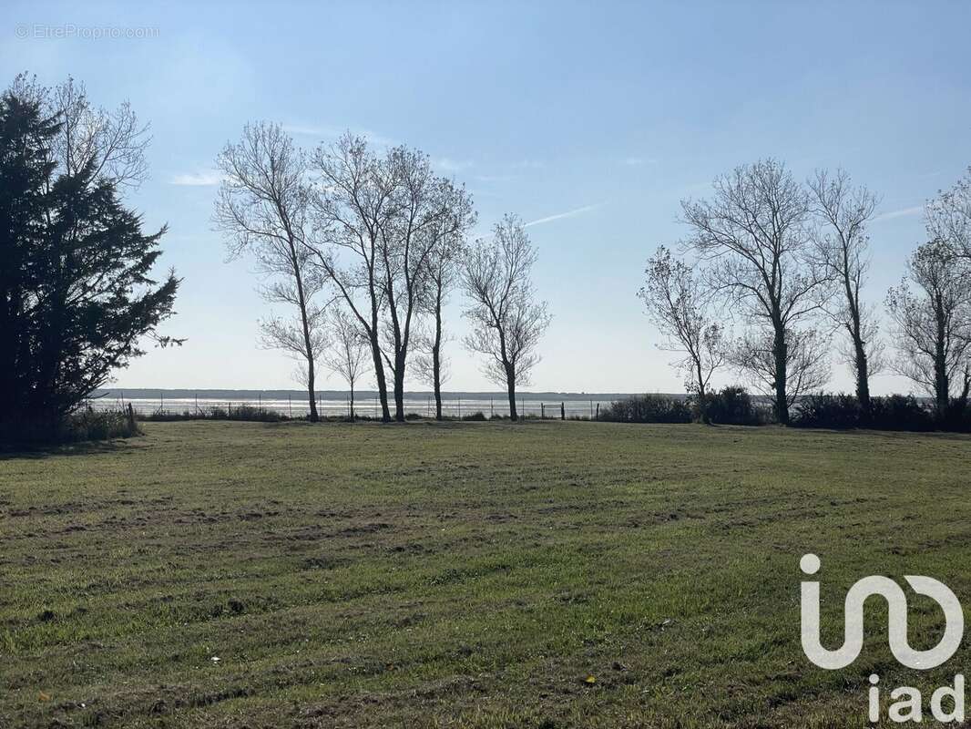 Photo 6 - Terrain à RIANTEC