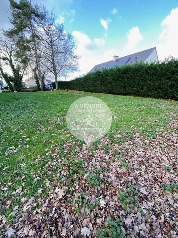 Terrain à PETIT-MARS