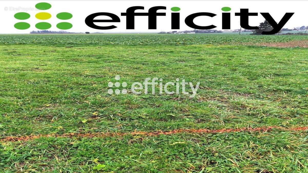 Commerce à CHARTRES